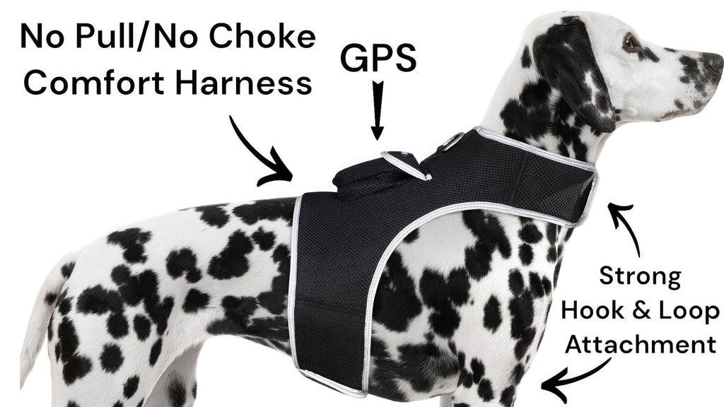 535912711
